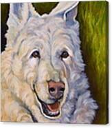 Snow Shepherd Canvas Print