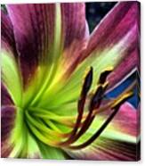 So Happy To Have Late Bloomers On This Canvas Print