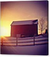 Solitary Horse Awaiting Night | Canvas Print