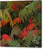 Song Of Foliage Canvas Print