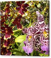Spotted Flowers Canvas Print