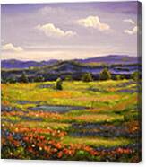Springtime In The Hill Country Canvas Print