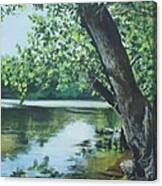 St. Joseph River Canvas Print