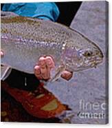 Steelhead On Dry Fly Canvas Print