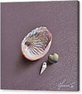 Still Life With Abalone Shell Canvas Print