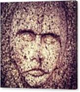 Stone Face (1) #dublin #history Canvas Print