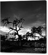 Storm Clouds. Canvas Print