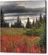 Storm Clouds In Fall Canvas Print