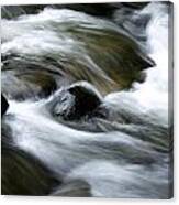 Stream Canvas Print