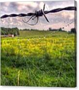 String Of Pearls Canvas Print