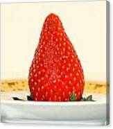 Succulent Strawberry Canvas Print