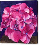 Summer Hydrangea Canvas Print