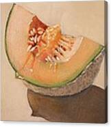 Summer Melon Still Life Canvas Print