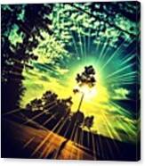 #sun #sunset #trees #driving #instacool Canvas Print