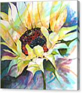 Sunflower Iii Canvas Print