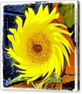 Sunflower Pinwheel Canvas Print