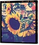 Sunflowers From My Sissy :) Canvas Print