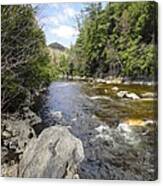 Sunny Day Downstream Canvas Print