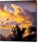 Sunset Flight Canvas Print