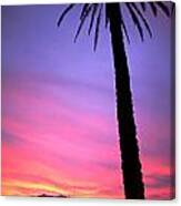 Sunset Canvas Print