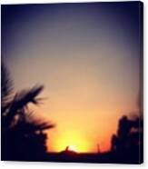 #sunset #sun #sunrays #dove #standing Canvas Print
