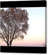 #sunset #tree #fall #iphone4s Canvas Print