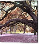 Surreal Old Oak Tree South Carolina Fall Colors Canvas Print