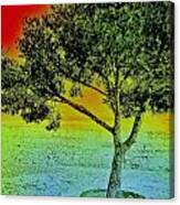 Surreal Tree I. Canvas Print