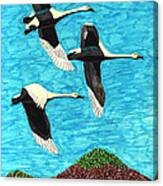 Swans In Flight Canvas Print