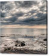 The Beach At Birling Gap Eastbourne England Canvas Print