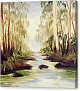The Buckland River Canvas Print