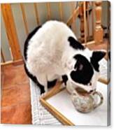 The Cat Who Came To Tea #cat Canvas Print