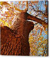 The Deer  Autumn Leaves Tree Canvas Print