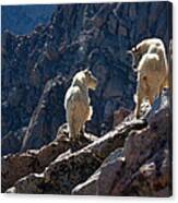 The Mountaineers Canvas Print