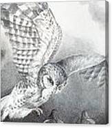 The Owl Of Athena Canvas Print
