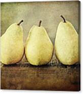 The Three Pears Canvas Print