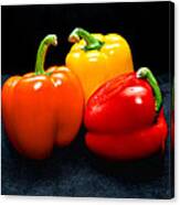 The Three Peppers Canvas Print