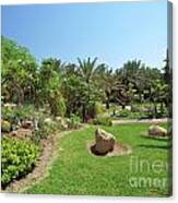 The Tropical Garden In Kibbutz Ein Gedi 04 Canvas Print