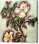 The Wild Rose Canvas Print