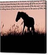 The Words Of A Wild Filly Canvas Print