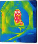 Thermogram Of An Owl Canvas Print