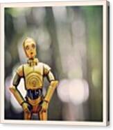 This C3po Is So Nice #toy #toyplanet Canvas Print