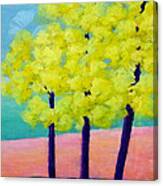 Three Trees On Beach Canvas Print