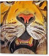 Tiger Eyes Canvas Print