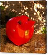 Tomatoes Canvas Print