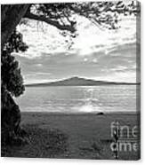 Tree And Ocean And Bench And Volcano Canvas Print