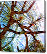 Tree Swirls Canvas Print