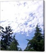 #trees #blue #sky #clouds #oregon Canvas Print