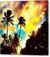 #trees #sky #blue #coconut #bestofphoto Canvas Print