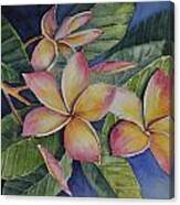 Tropical Plumerias Canvas Print